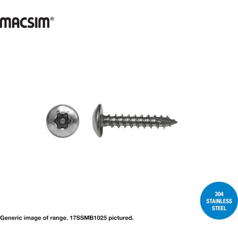 SECURITY SCREW T17 MH SS 304 10-12 X 25 TORX RECESS 